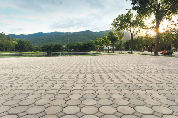 Best Commercial Driveway Pavers  in Butner, NC